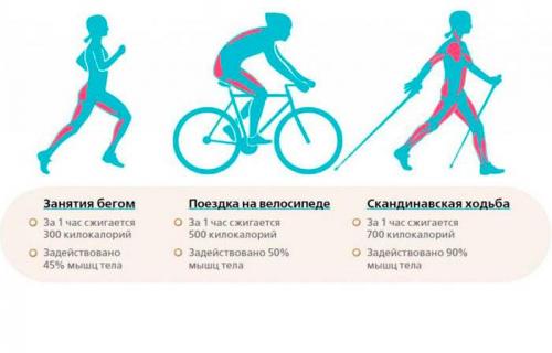 Как с помощью велосипеда похудеть. Чем полезен велосипед для похудения 01 Как с помощью велосипеда похудеть. Чем полезен велосипед для похудения 01