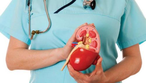 Диета при гидронефрозе почек. Запрещенные продукты 06