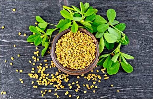 Как уменьшить грудь подростку. Как уменьшить размер груди в домашних условиях