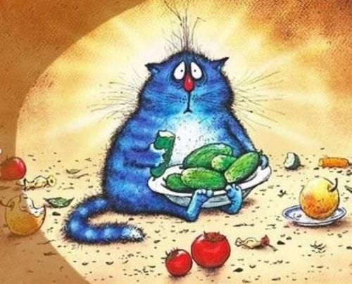 Разгрузочные дни для здоровья. Как правильно провести и устроить?