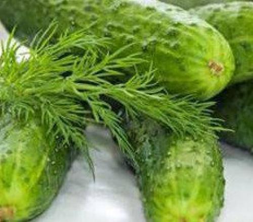 Как скинуть пару кг. Однодневная диета или разгрузочный день