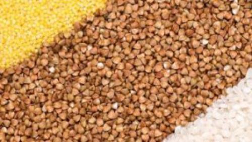 Бгбк меню на неделю. Диета бгбк: продукты. Кому нужна и что можно есть?