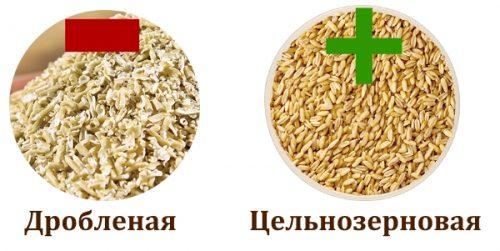 Разгрузочный день на яблоках и воде. Вот такие чрезвычайно полезные фрукты 08 Разгрузочный день на яблоках и воде. Вот такие чрезвычайно полезные фрукты 08