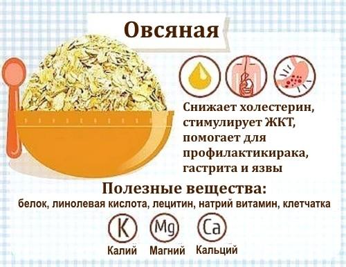 Разгрузочный день на яблоках и воде. Вот такие чрезвычайно полезные фрукты 05 Разгрузочный день на яблоках и воде. Вот такие чрезвычайно полезные фрукты 05