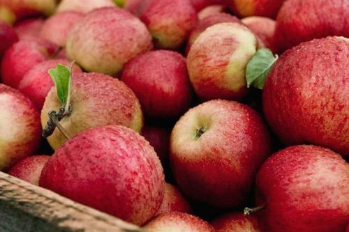 Польза яблочного уксуса для похудения 06 Польза яблочного уксуса для похудения 06