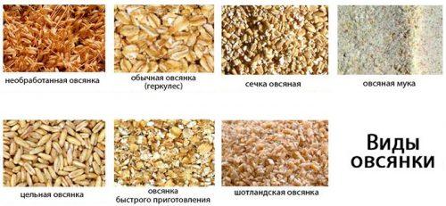 Разгрузочный день на яблоках и воде. Вот такие чрезвычайно полезные фрукты 07 Разгрузочный день на яблоках и воде. Вот такие чрезвычайно полезные фрукты 07