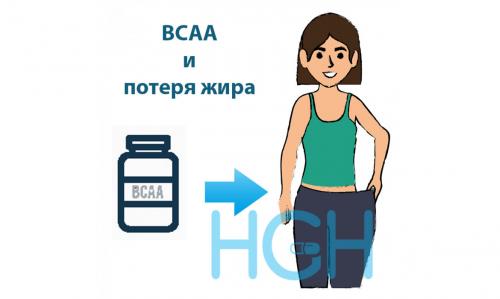Можно ли принимать bcaa с жиросжигателем. BCAA и потеря жира: как они могут высушить ваш живот