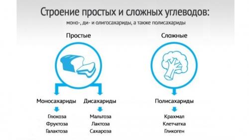 Продукты белковые без углеводов. Продукты без углеводов для эффективного похудения