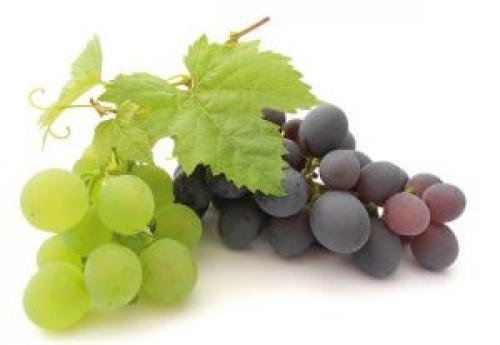 Виноград мочегонный или нет. Виноград, как мочегонное средство