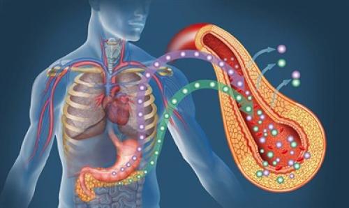 Питание при инсулинорезистентности меню на неделю. Диета при инсулинорезистентности меню на каждый день