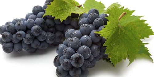 Как похудеть на винограде. Полезные свойства винограда