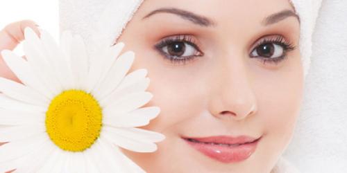 Шиповник при демодекозе. Эффективное лечение демодекоза народными средствами