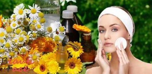 Шиповник при демодекозе. Эффективное лечение демодекоза народными средствами