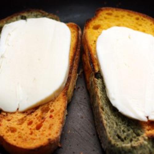 Фосфатурия диета у детей. Лечебная диета при фосфатных камнях в почках: правильное питание для растворения фосфатов 07