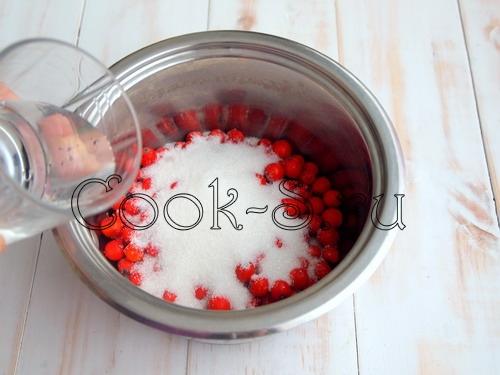 Красная рябина протертая с медом. Химический состав и пищевая ценность красной рябины 06