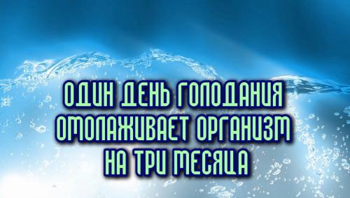 Голодание 1 день в неделю. Аргументы «за»: