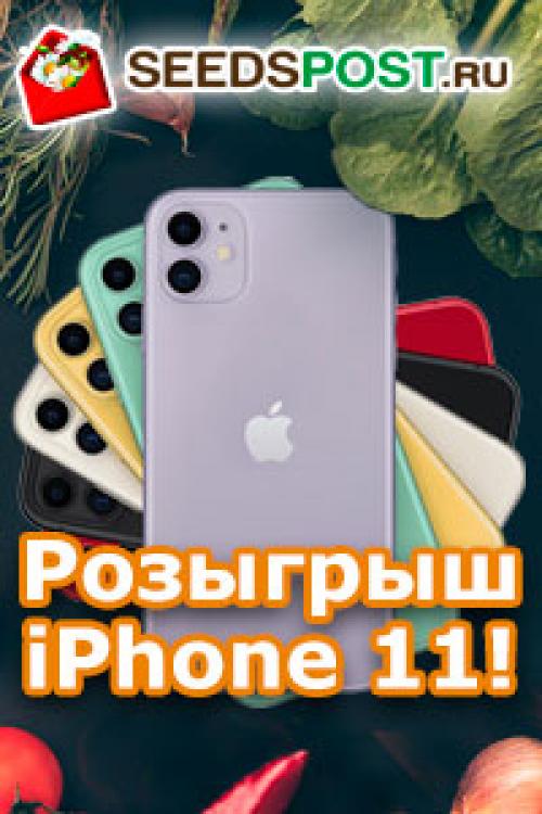 Винегрет каждый день. Винегрет (разгрузочный день)