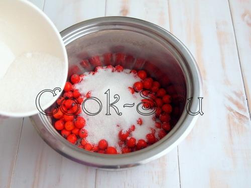 Красная рябина протертая с медом. Химический состав и пищевая ценность красной рябины 05