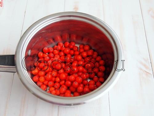 Красная рябина протертая с медом. Химический состав и пищевая ценность красной рябины 04