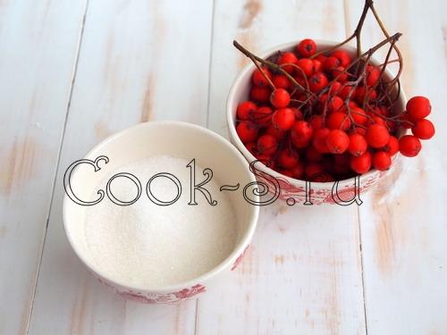 Красная рябина протертая с медом. Химический состав и пищевая ценность красной рябины 03