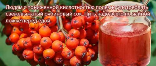 Красная рябина вяленая. Рябина красная (обыкновенная) – описание, лечебные свойства и противопоказания