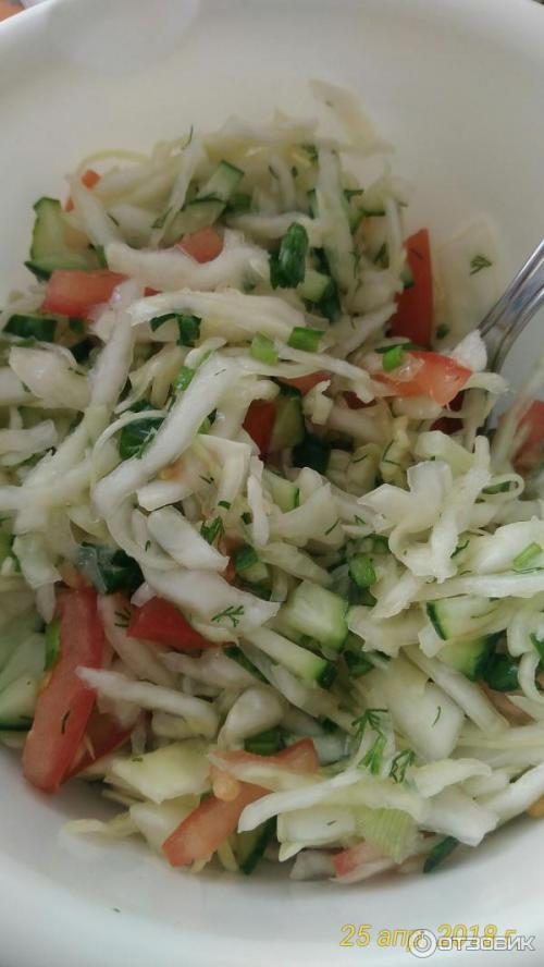 21 кг за 21 день. Диета минус 20 кг. Отзывы. Как сбросить 20 кг за месяц? Меню для похудения за 21 день. 21