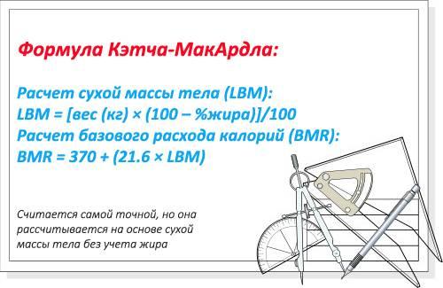 Онлайн счетчик расхода калорий. Суперкалоризатор - калькулятор калорий онлайн 06 Онлайн счетчик расхода калорий. Суперкалоризатор - калькулятор калорий онлайн 06