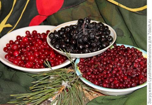 Рябина протертая с медом. Черноплодная рябина с мёдом — и лекарство, и лакомство