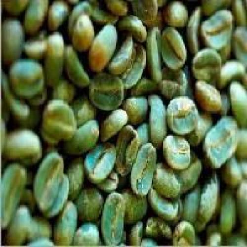 Зеленый молотый кофе с имбирем. Особые компоненты зеленого кофе 02 Зеленый молотый кофе с имбирем. Особые компоненты зеленого кофе 02