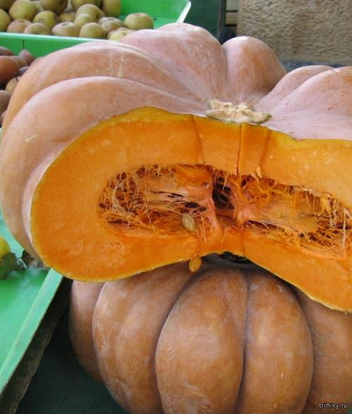 Продукты имеющие сладкий вкус. Самые сладкие продукты в мире (8 фото)