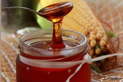 Продукты имеющие сладкий вкус. Самые сладкие продукты в мире (8 фото)