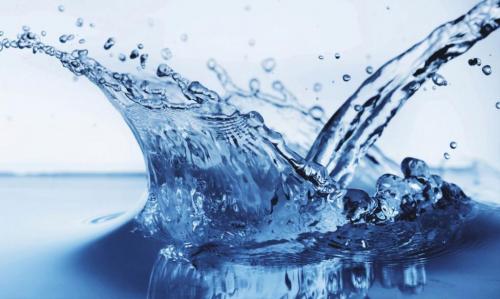 Меню при низкопуриновой диете. Диета низкопуриновая: меню и особенности лечебного питания ^ 03