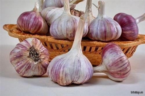 Продукты имеющие сладкий вкус. Самые сладкие продукты в мире (8 фото)