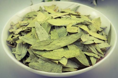 Чай сенна в пакетиках, как принимать. Чай сенна для похудения