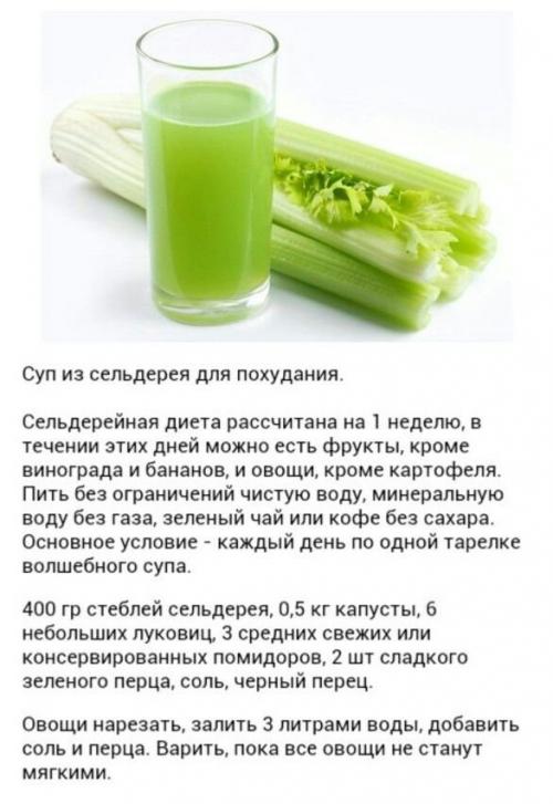 Сельдерей для похудения, как использовать. Сельдерей для похудения и не только