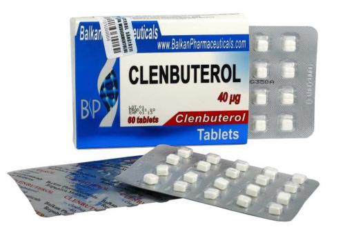 Как пить капсулы жиросжигатели. Принцип действия жиросжигателей в капсулах