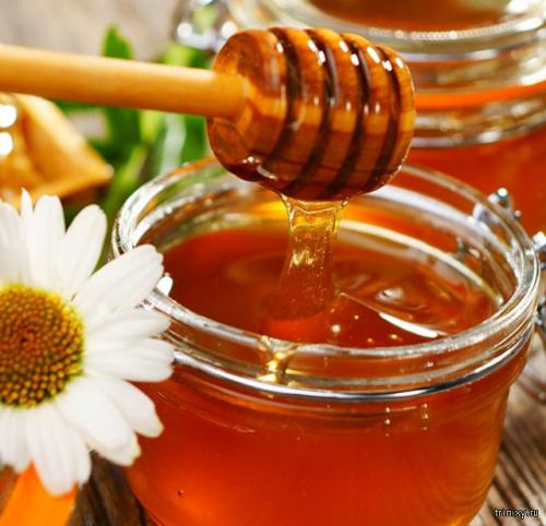 Продукты имеющие сладкий вкус. Самые сладкие продукты в мире (8 фото)