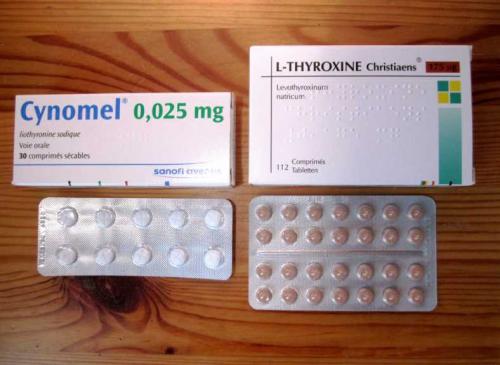 Как пить капсулы жиросжигатели. Принцип действия жиросжигателей в капсулах