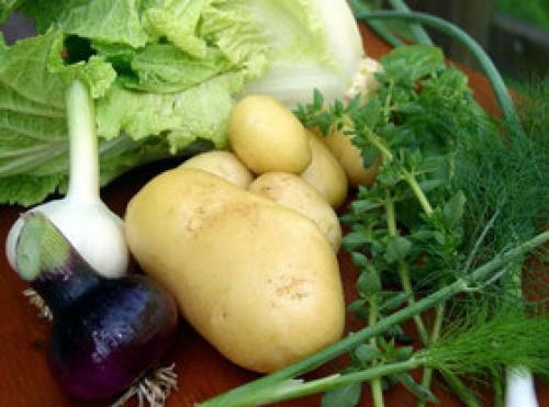 Картофельно капустная диета при оксалурии. Картофельная диета