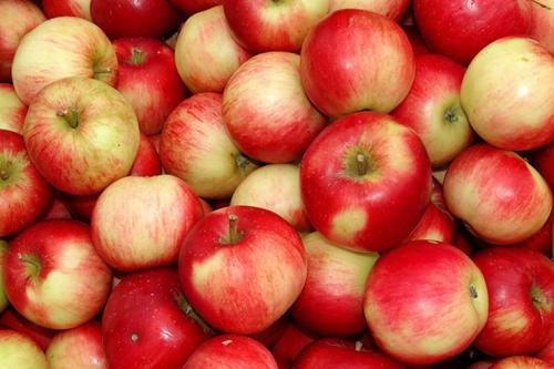 Яблочная диета: сбрось 10 кг за неделю!