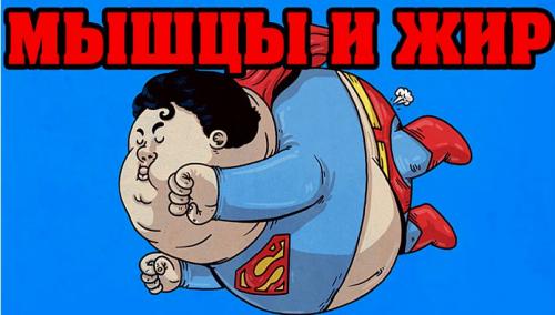 Что происходит с организмом когда худеешь. Какая часть тела худеет в первую очередь у девушек, женщин и мужчин