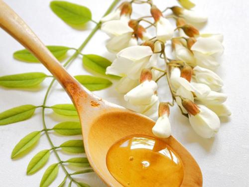 Чай с медом при похудении. Можно ли есть мед при диете с чаем