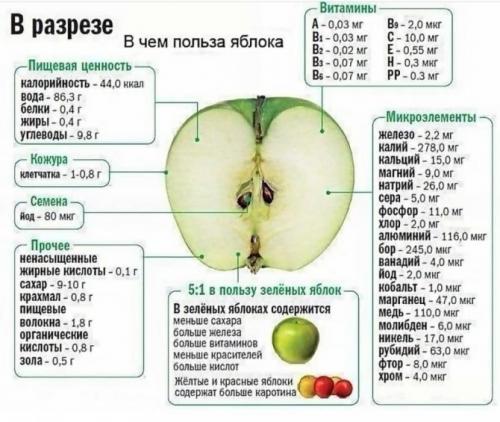 Яблоки на ночь вред. Можно ли есть свежие или печеные яблоки вечером?