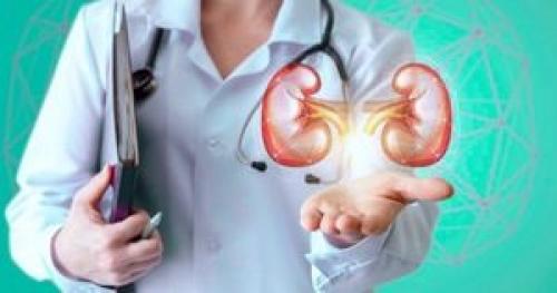 Можно ли кушать персики на ночь. Можно ли есть персики на ночь. Питание на ночь: что можно. Всегда ли полезны нектарины 01