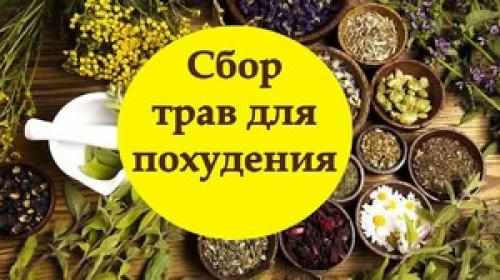Рецепты для похудения травы. Народные средства, выводящие лишнюю воду 04