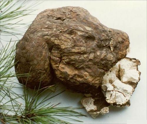 Чай летящая ласточка состав. Состав