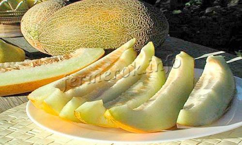 Дыня калорийность. Калорийность дыни и полезные свойства