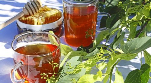 Форум кто похудел на омеле. Лучшие рецепты