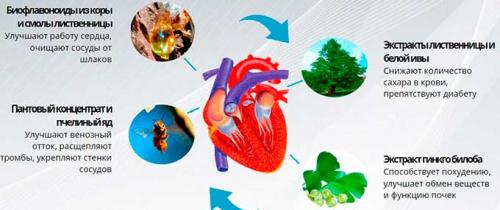 Hypertostop лекарство от гипертонии. Особенности состава медикамента