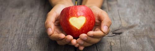 Выход с диеты любимая. Выход из монодиеты 01